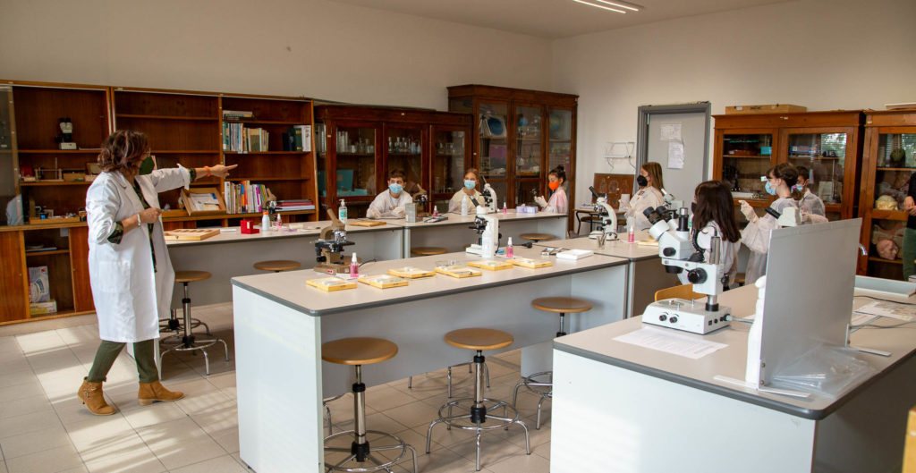 Clil di Matematica e Scienze